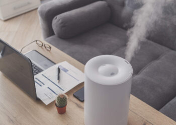 Jak wybrać nawilżacz i oczyszczacz powietrza? Czym się kierować przy zakupie? Zalety oczyszczacza i nawilżacza powietrza